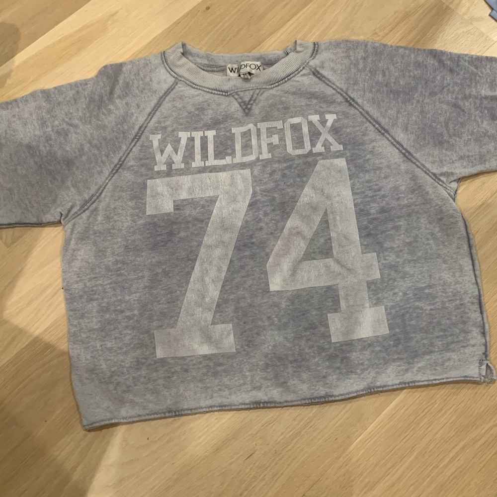 Wildfox Gray Faded 74 Cotton Jersey